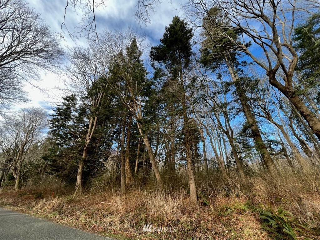 2168 APA Road Point Roberts, WA 98281 - Photo 17 of 37