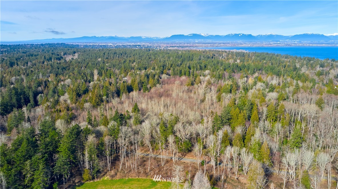 2168 APA Road Point Roberts, WA 98281 - Photo 7 of 37 a view of a city with lush green forest