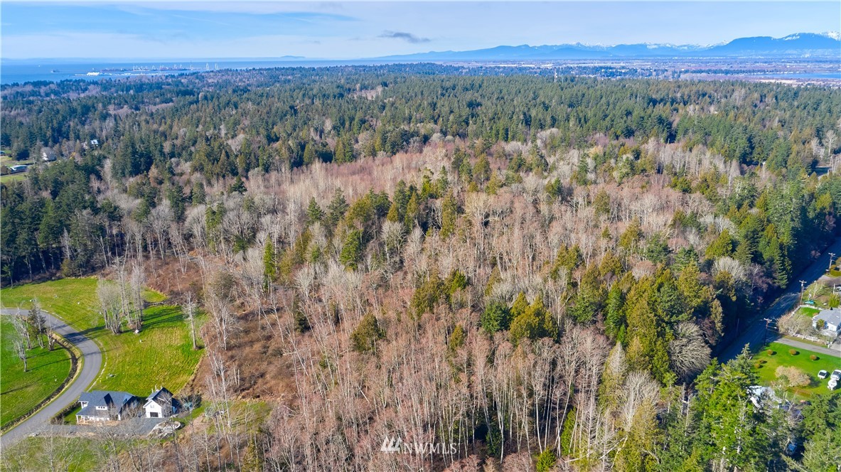 2168 APA Road Point Roberts, WA 98281 - Photo 8 of 37 a view of a lush green forest with a mountain