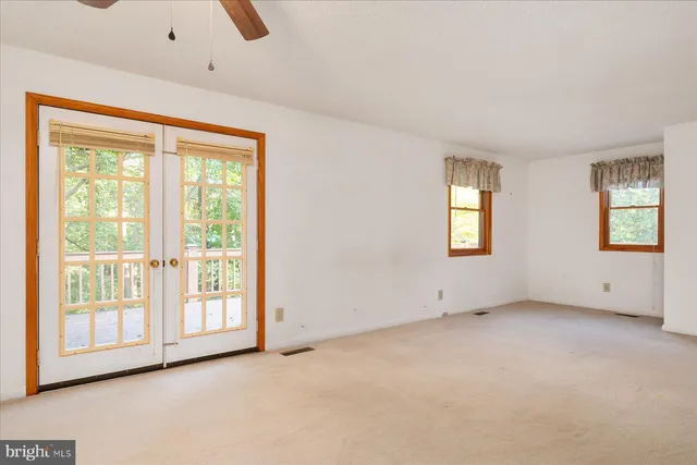 a view of a yard with plants and trees