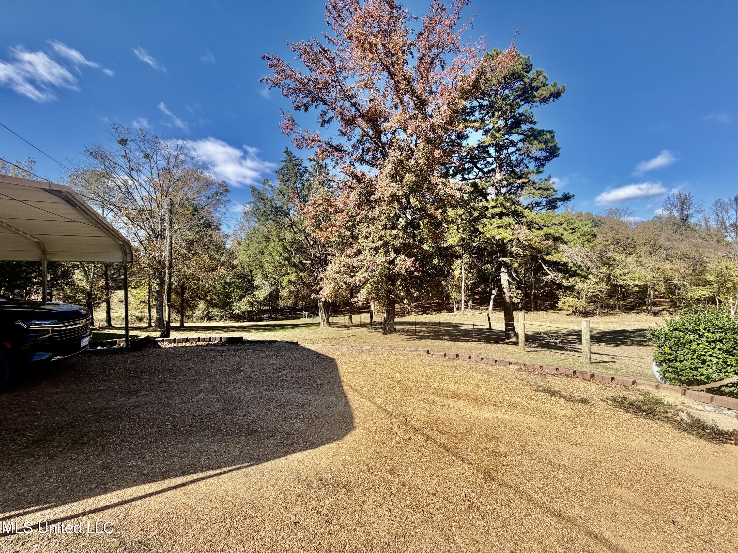 1183 Adams Road Oakland, MS 38948 - Photo 19 of 22 IMG_0579
