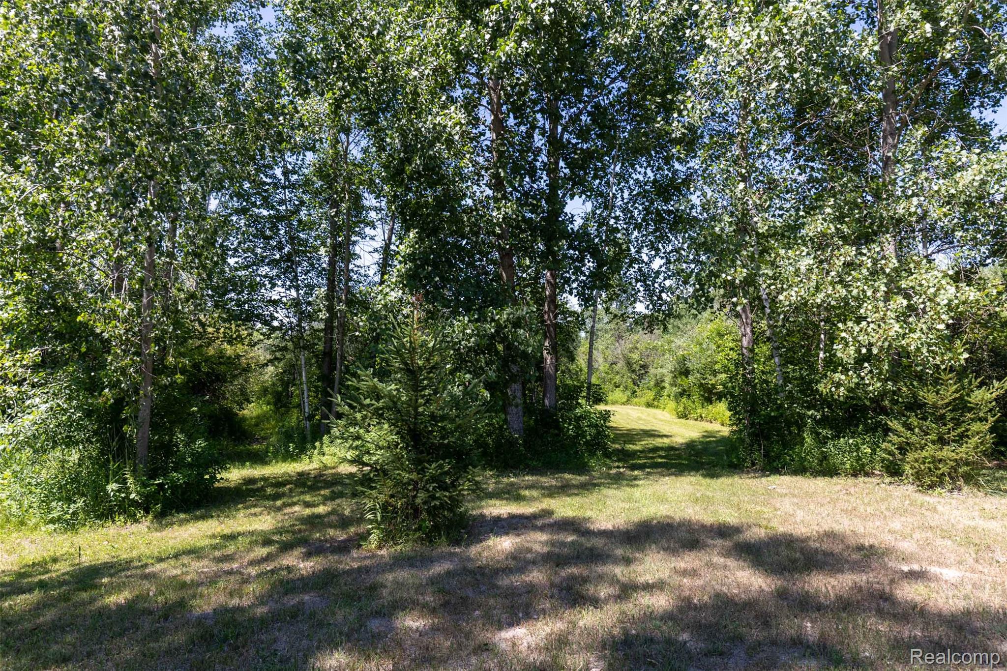 408 Columbiaville Road Columbiaville, MI 48421 - Photo 10 of 30 Buildable middle area of property next to pond