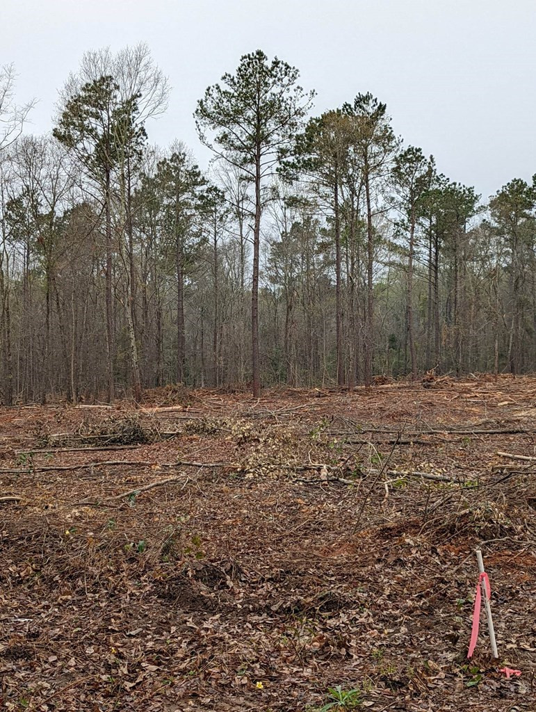 1-5 Benenhaley Road Dalzell, SC 29040 - Photo 2 of 4