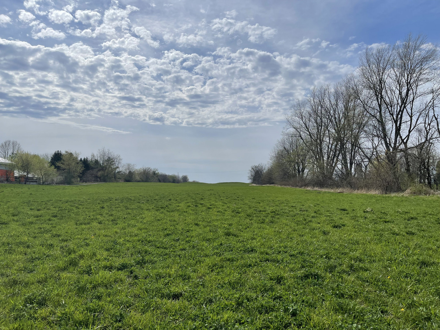 7 Dittman Road St. Charles, IL 60175 - Photo 3 of 6 a view of a field with an trees