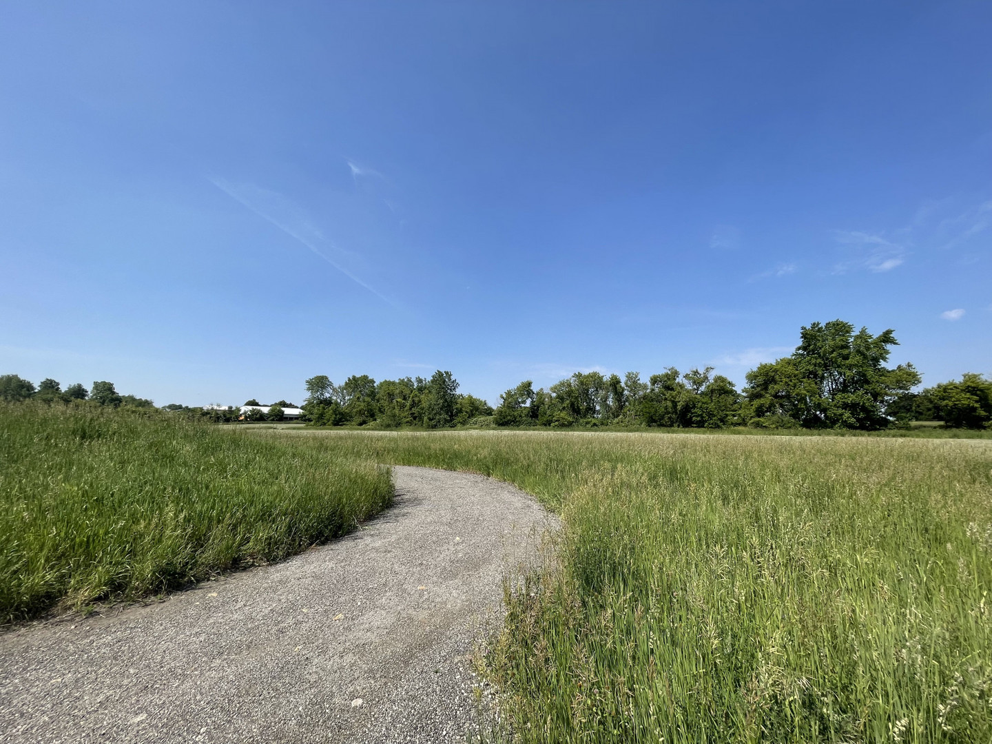 7 Dittman Road St. Charles, IL 60175 - Photo 6 of 6 a view of a green field with trees in the background