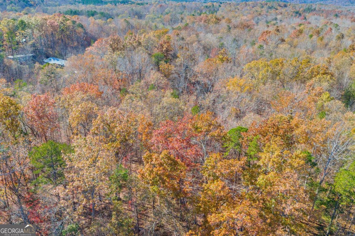 Lot 12 North Hicks Road Toccoa, GA 30577 - Photo 20 of 25