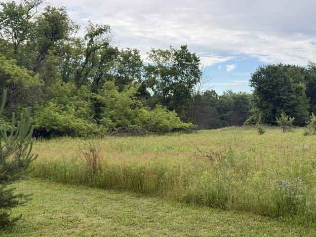 7628 Marble Road Howard City, MI 49329 - Photo 1 of 5 IMG_3232