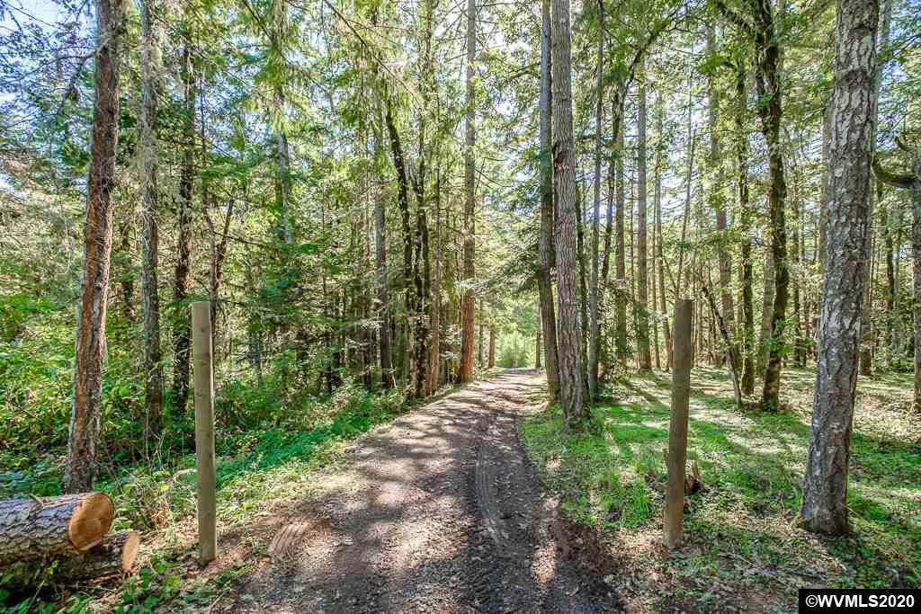 15555 Strong (next To) Road Dallas, OR 97338 - Photo 6 of 11