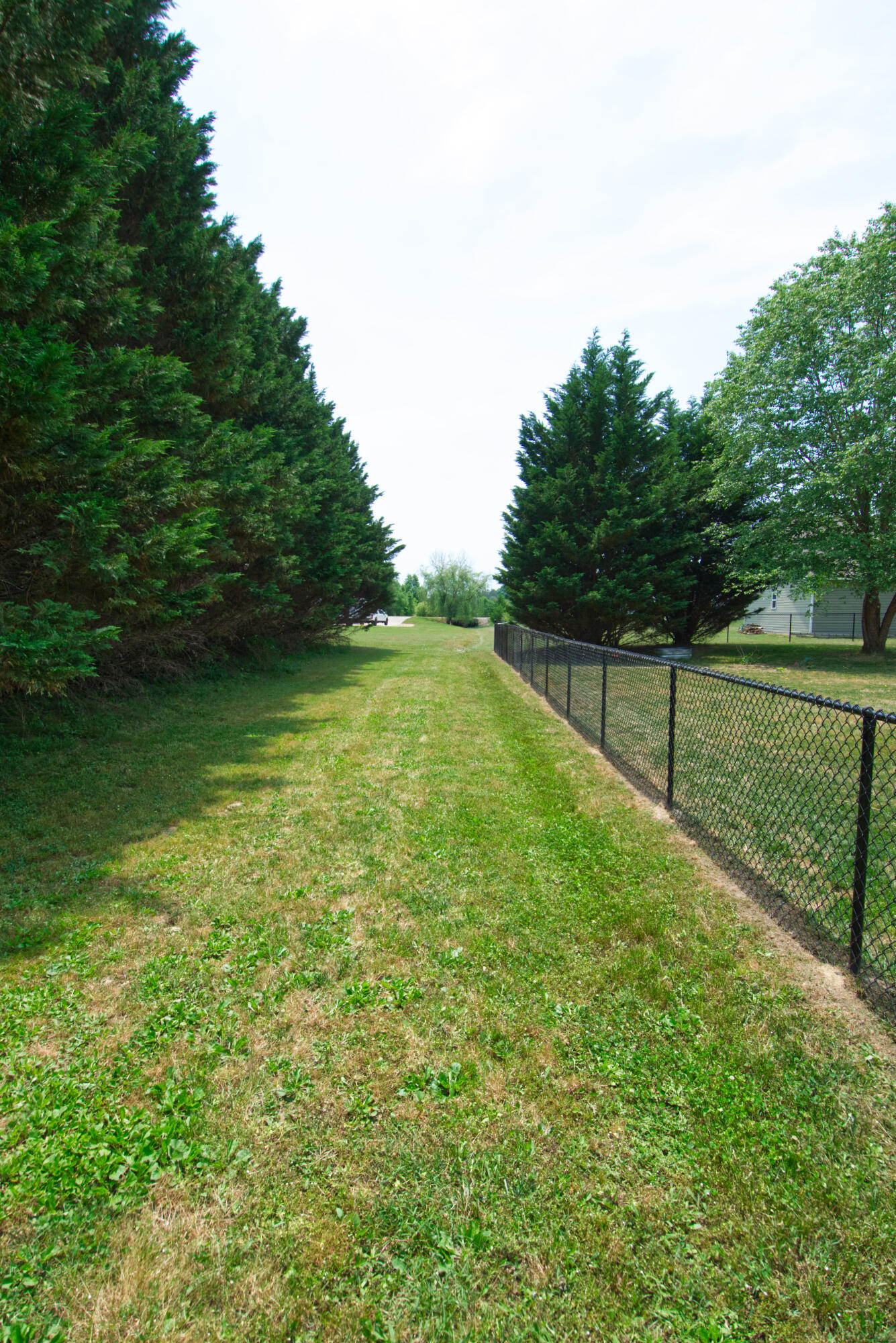 7840 Grasshopper Road Georgetown, TN 37336 - Photo 35 of 43 DSC_0016