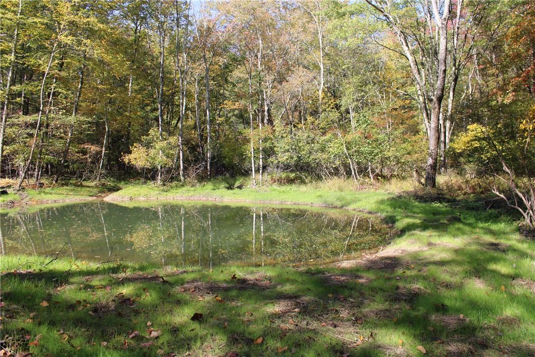 Iken Road Rochester, NY 12446 - Photo 1 of 1