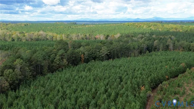 a view of a green field with lots of bushes