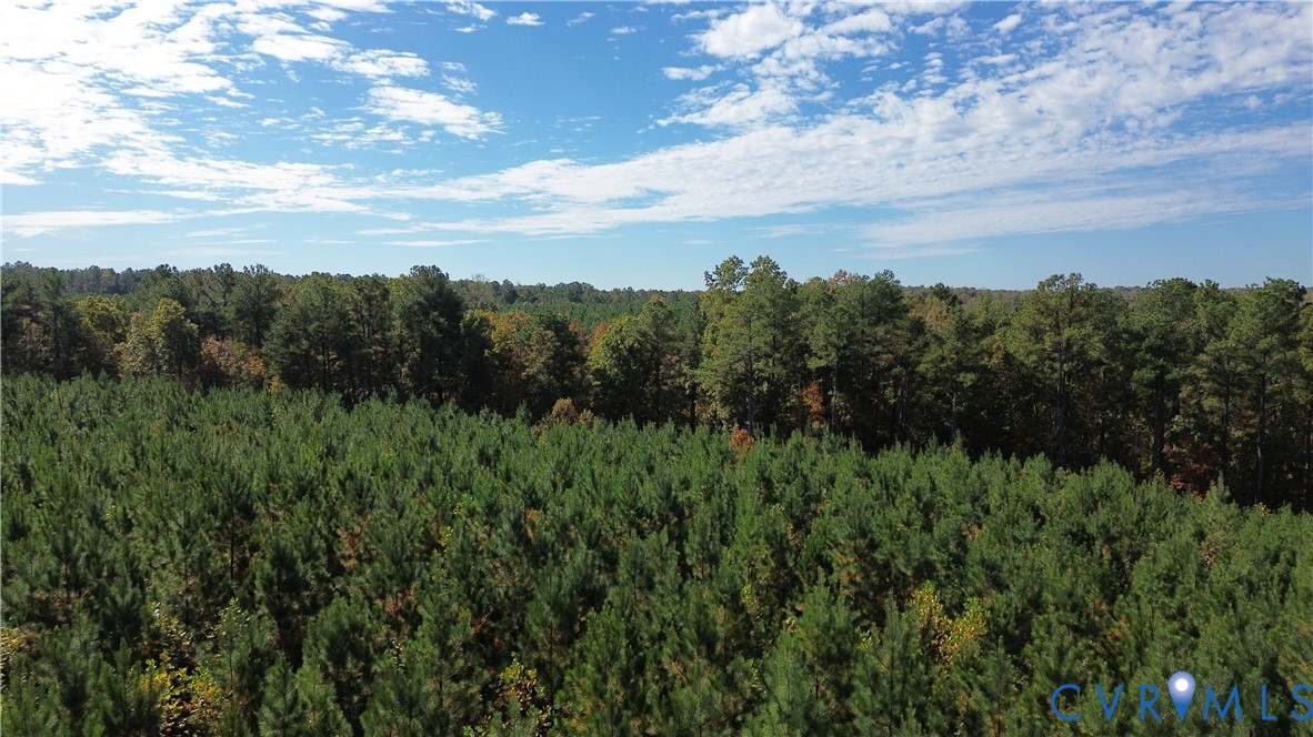 0 Ridge Road Arvonia, VA 23004 - Photo 12 of 48 a view of a city with lush green forest