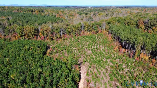a view of a green field with lots of bushes