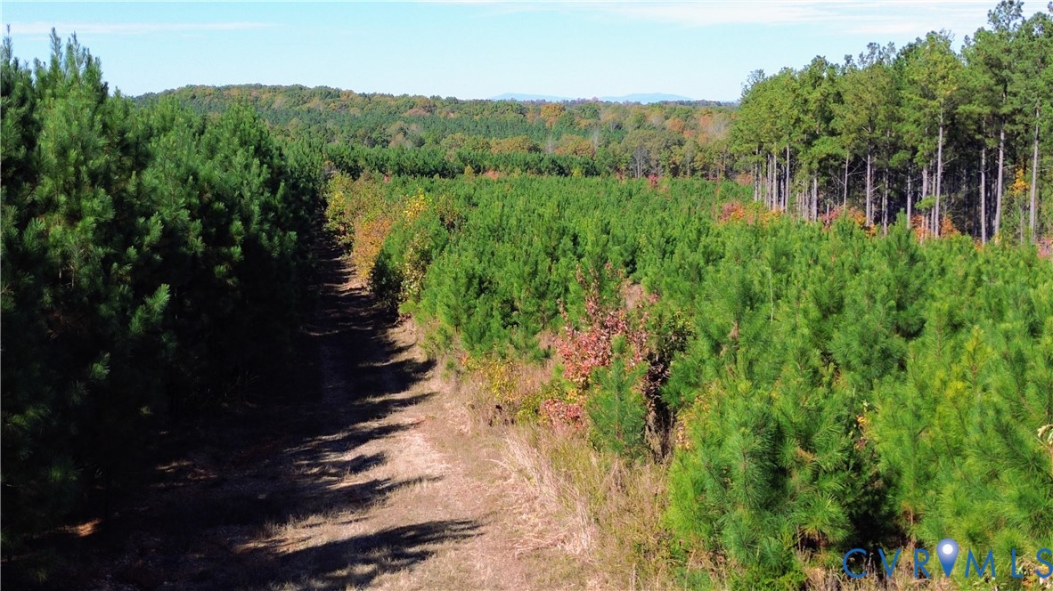 0 Ridge Road Arvonia, VA 23004 - Photo 15 of 48 a view of a lake from a yard