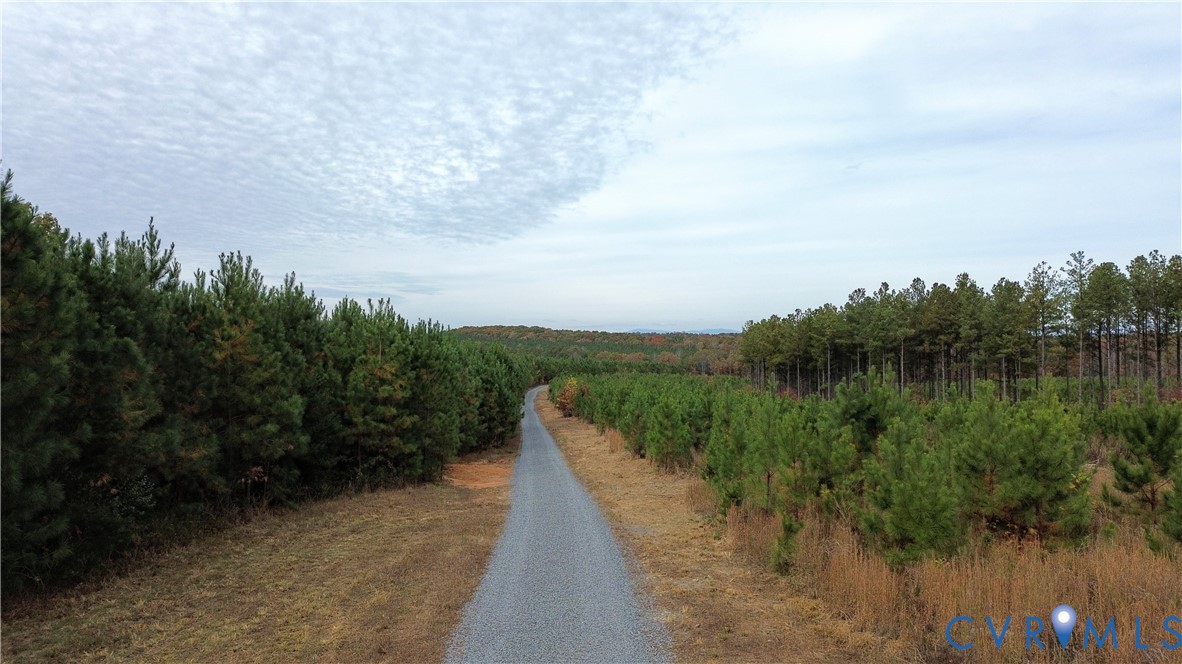 0 Ridge Road Arvonia, VA 23004 - Photo 16 of 48 a view of a lake with a yard