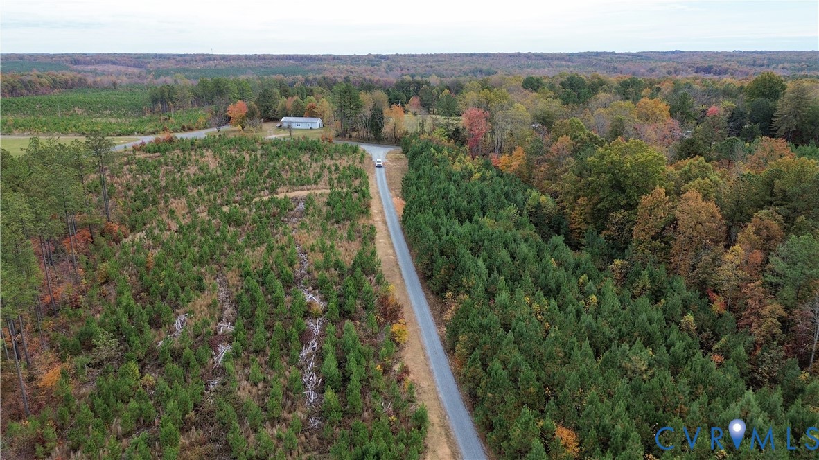 0 Ridge Road Arvonia, VA 23004 - Photo 18 of 48 a view of a lush green forest with trees and some houses