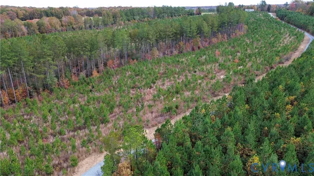 a view of a lush green forest with trees and some houses