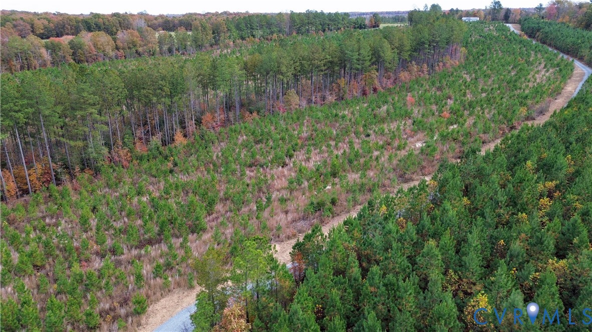 0 Ridge Road Arvonia, VA 23004 - Photo 20 of 48 a view of a lush green forest with trees and some houses