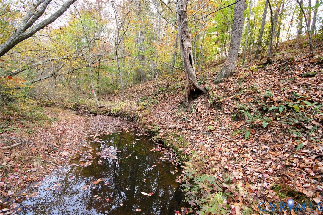 0 Ridge Road Arvonia, VA 23004 - Photo 2 of 48 a view of a yard with large trees