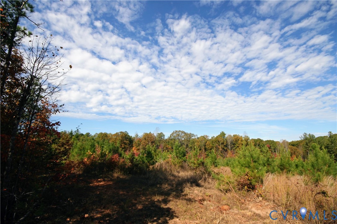 0 Ridge Road Arvonia, VA 23004 - Photo 22 of 48 a view of a bunch of trees in a field