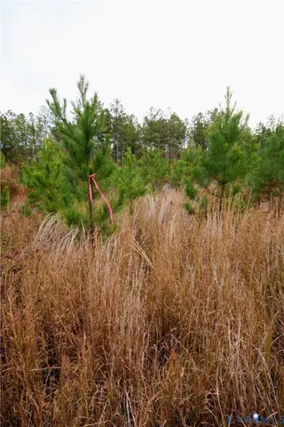 a view of a lake view with houses in back