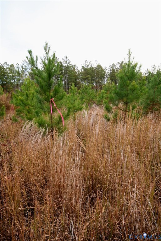 0 Ridge Road Arvonia, VA 23004 - Photo 24 of 48 a view of a lake view with houses in back