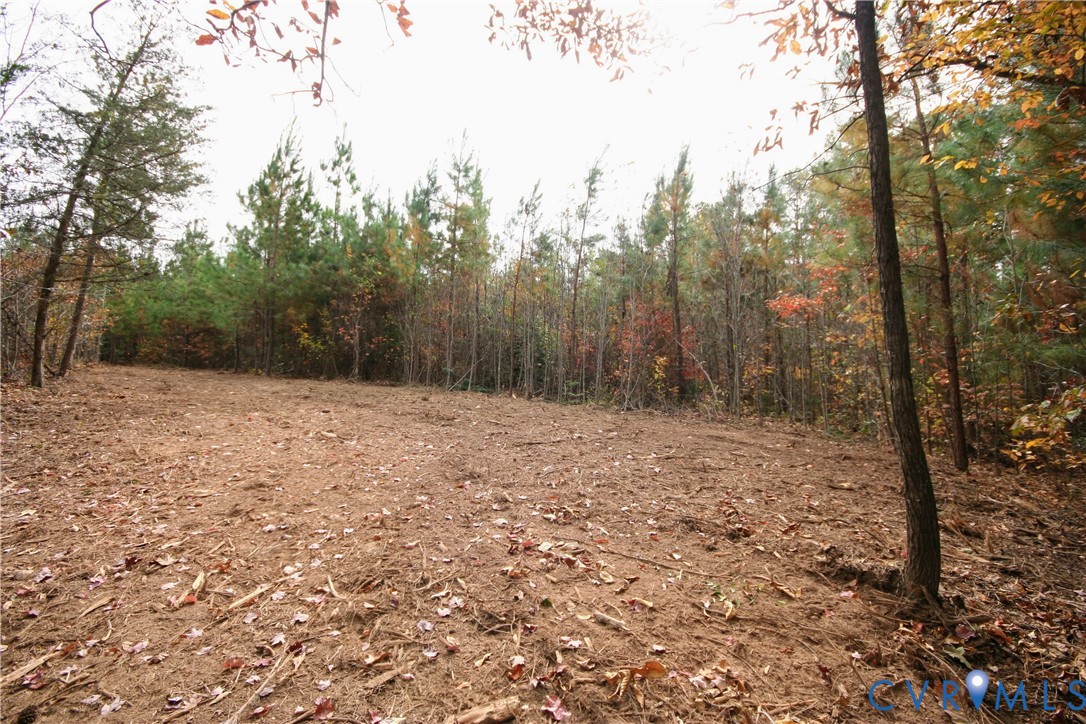 0 Ridge Road Arvonia, VA 23004 - Photo 26 of 48 a view of a forest with trees in the background