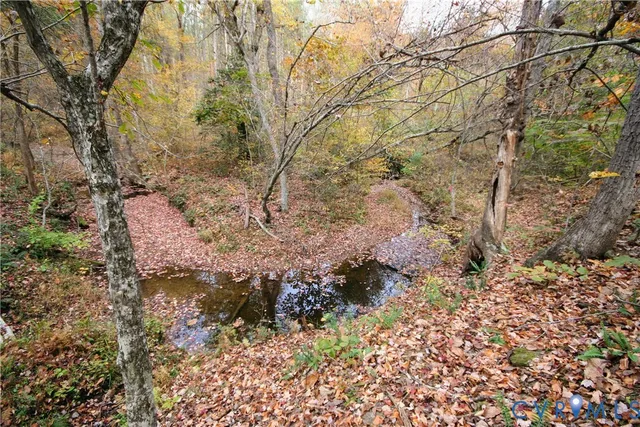 a view of a yard with plants and trees