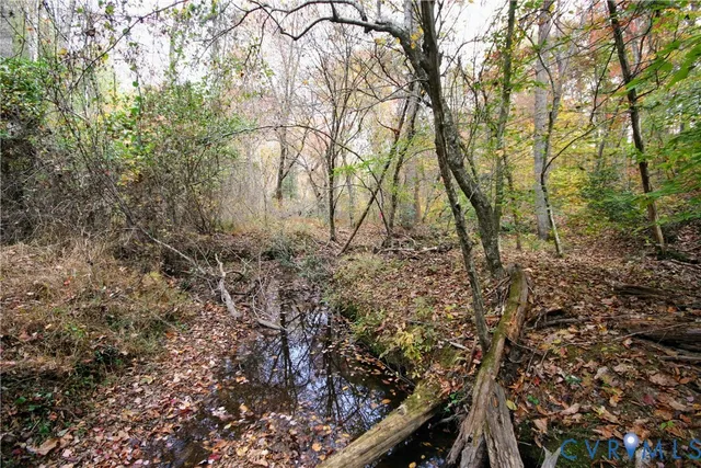 a view of a yard with plants and trees