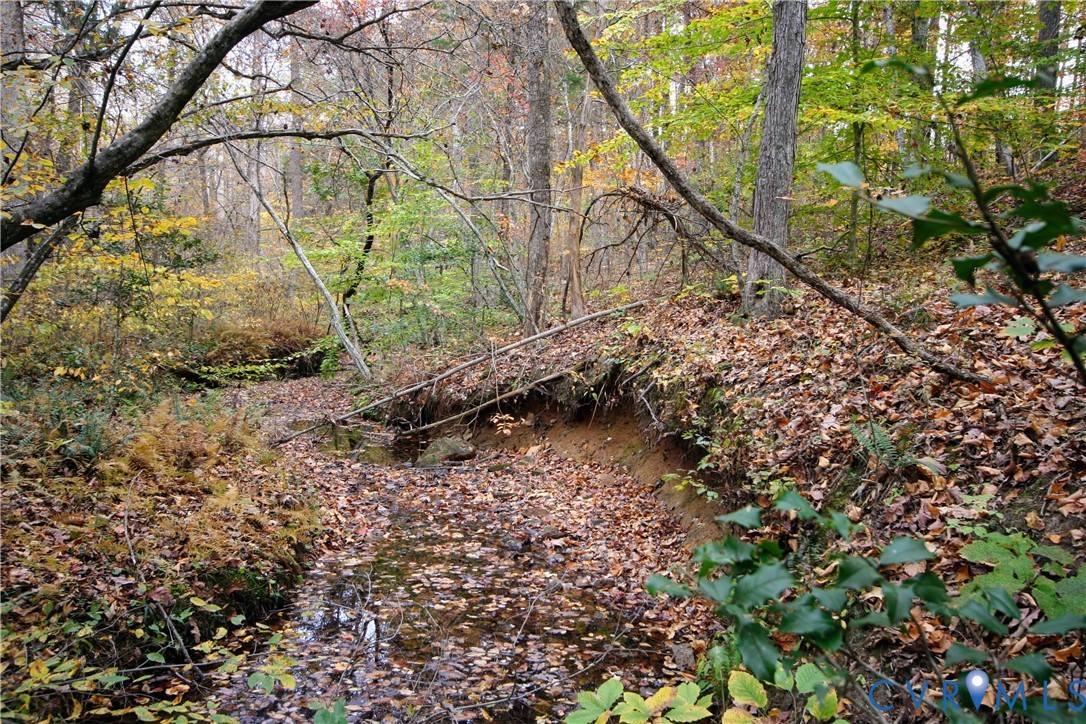 0 Ridge Road Arvonia, VA 23004 - Photo 34 of 48 a backyard of a house with lots of green space