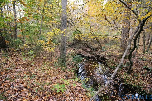 a view of a yard with plants and trees