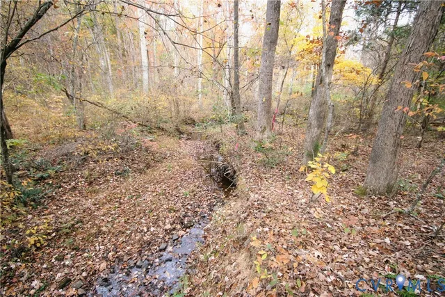 a view of a yard with plants and trees