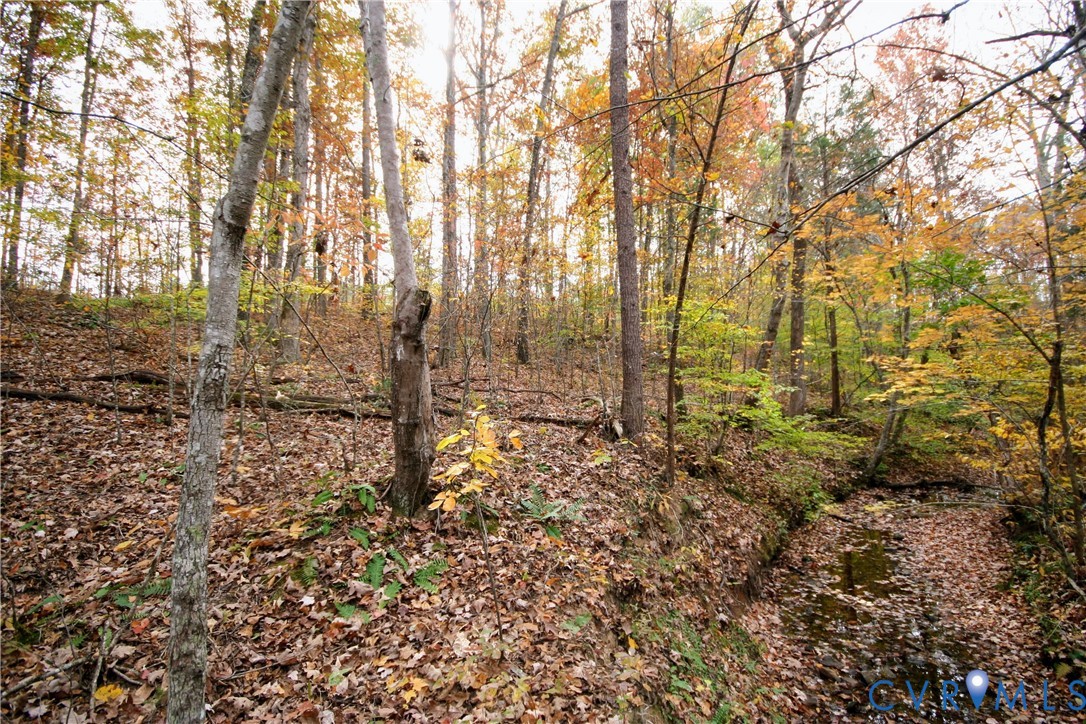 0 Ridge Road Arvonia, VA 23004 - Photo 38 of 48 a view of a forest with trees
