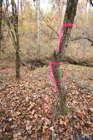 a flag is sitting in the middle of a forest