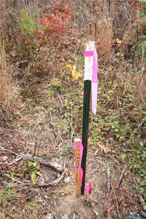 0 Ridge Road Arvonia, VA 23004 - Photo 41 of 48 a flag is sitting in the middle of a forest