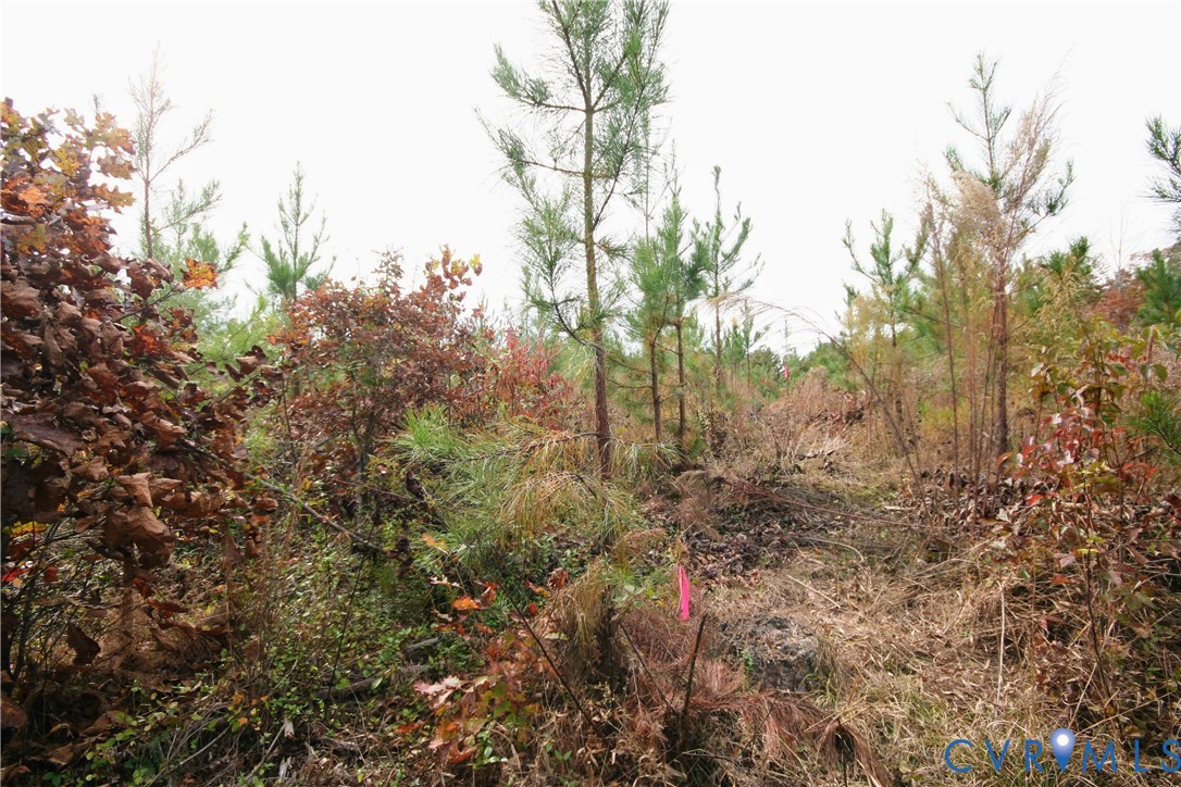 0 Ridge Road Arvonia, VA 23004 - Photo 42 of 48