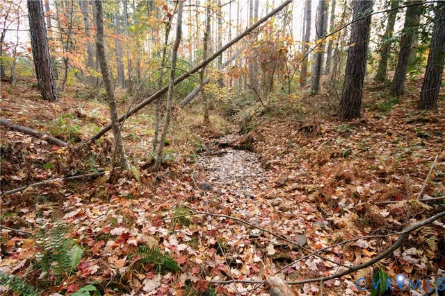 a view of dirt field with trees
