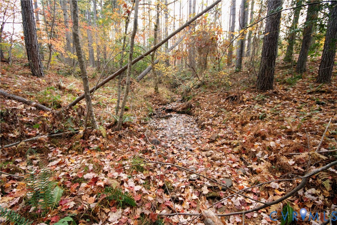 0 Ridge Road Arvonia, VA 23004 - Photo 44 of 48 a view of a yard with a tree
