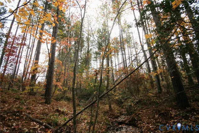 $169,000 | 0 Ridge Road, Arvonia, VA 23004