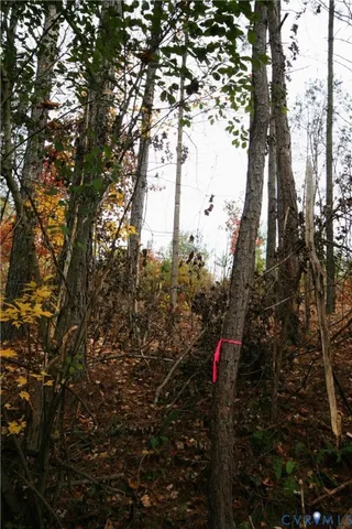 $169,000 | 0 Ridge Road, Arvonia, VA 23004