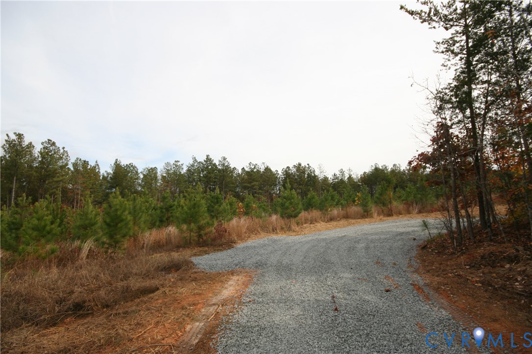 0 Ridge Road Arvonia, VA 23004 - Photo 48 of 48 a view of dirt field with trees