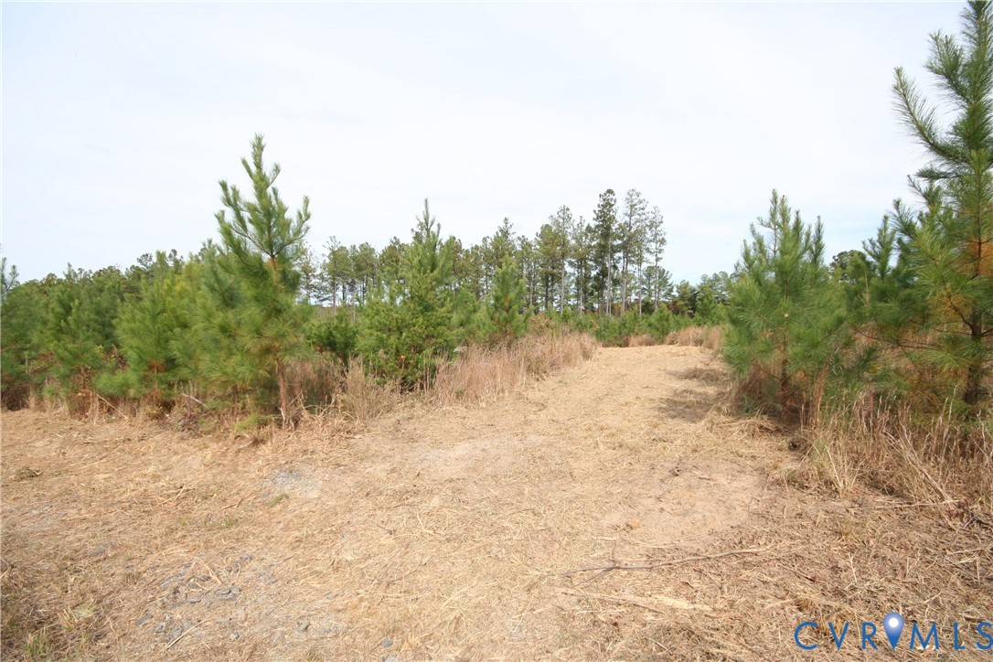 0 Ridge Road Arvonia, VA 23004 - Photo 6 of 48 a view of a lake with trees in the background