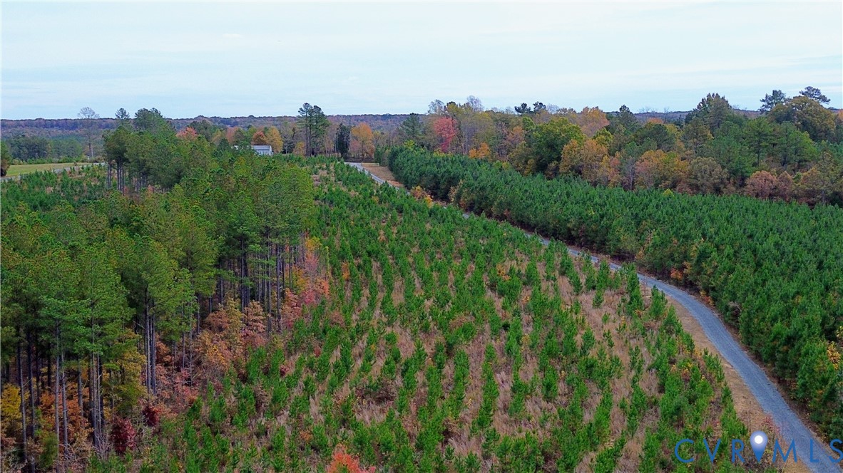 0 Ridge Road Arvonia, VA 23004 - Photo 7 of 48 a view of a city