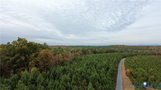 a view of a city with lush green forest