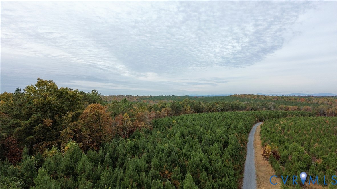 0 Ridge Road Arvonia, VA 23004 - Photo 9 of 48 a view of a city with lush green forest