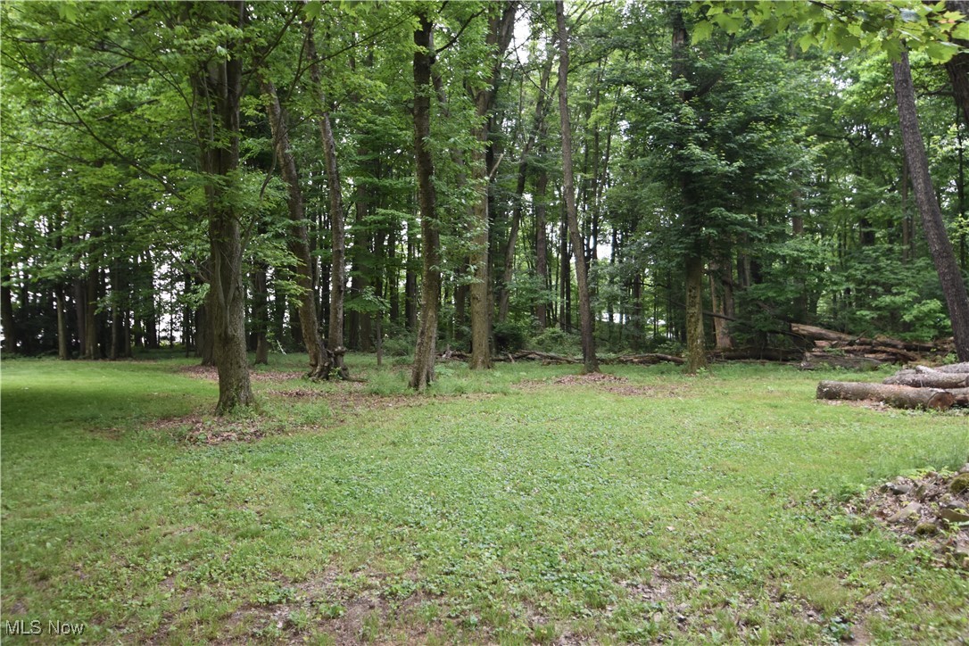 11676 Lisbon Road Salem, OH 44460 - Photo 37 of 38 View of green lawn with a wooded view