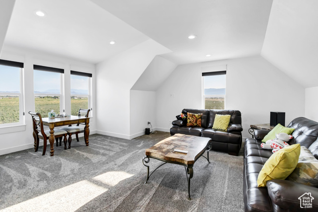1952 Highway 118 Monroe, UT 84754 - Photo 50 of 88 Living room featuring vaulted ceiling, healthy amount of natural light, carpet, and recessed lighting