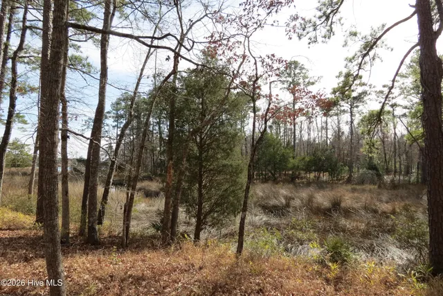 $64,500 | 280 Winding Creek Drive, Oriental, NC 28571