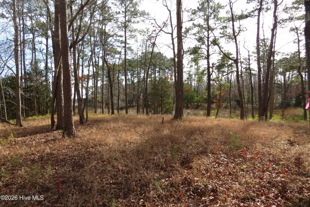 $64,500 | 280 Winding Creek Drive, Oriental, NC 28571