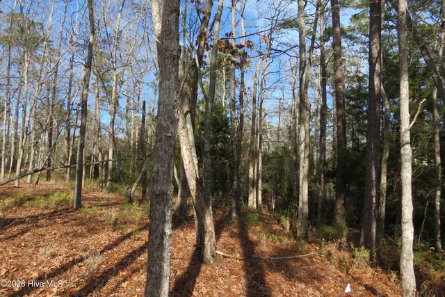 $64,500 | 280 Winding Creek Drive, Oriental, NC 28571